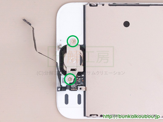 iPhone5s分解7ホームボタンを外す(2)