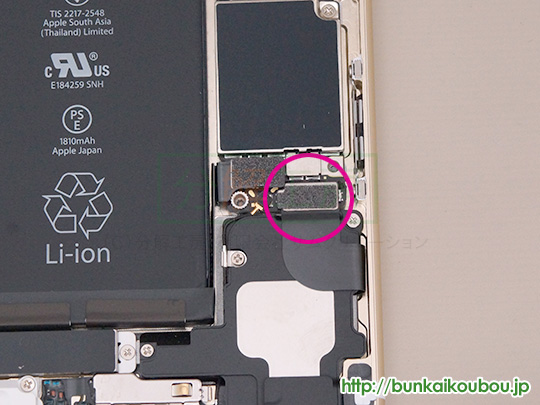 iPhone6分解8Lightningコネクタケーブルを外す(1)
