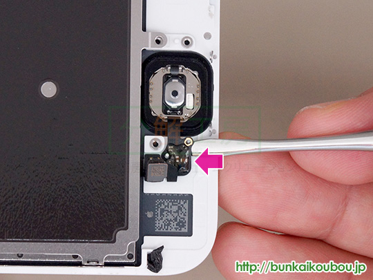 iPhone6s分解15ホームボタンを外す(4)