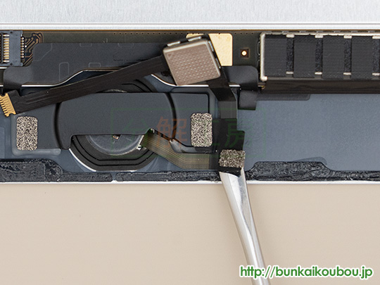 iPad mini4分解11ホームボタンを外す(3)