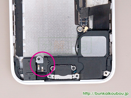 iPhone5c分解13Lightningコネクタ部品を外す(2)