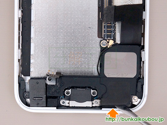 iPhone5c分解14Lightningコネクタ部品を外す(3)