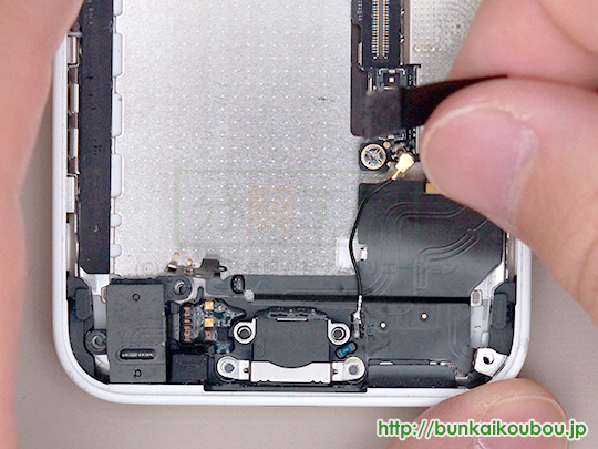iPhone5c分解15Lightningコネクタ部品を外す(4)