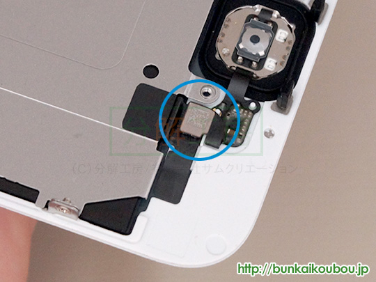 iPhone6分解9ホームボタンを外す(2)