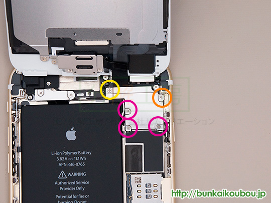 iPhone6Plus分解3ケーブル固定板を外す