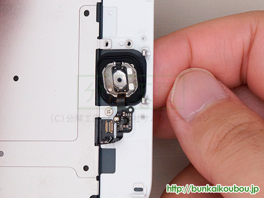 iPhone6Plus分解8ホームボタンを外す(4)