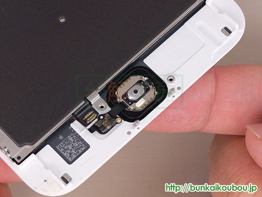 iPhone6s分解9ホームボタンを外す(4)