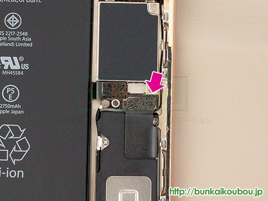 iPhone6s Plus分解15ロジックボードを外す(4)