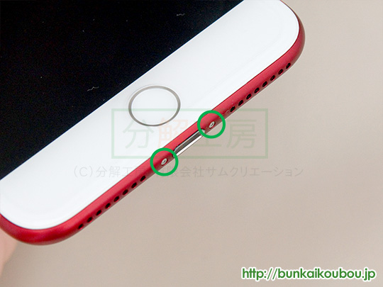 iPhone7Plus分解1Lightningコネクタ両側のネジを外す