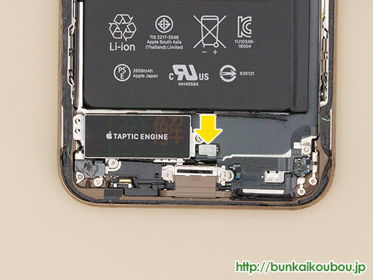 iPhoneXS分解12TAPTIC ENGINEを外す(5)